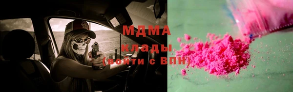 сатива Каменка