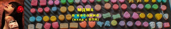 сатива Каменка