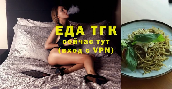 сатива Каменка