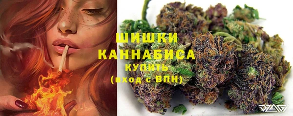apvp Каменногорск