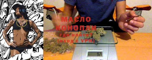 сатива Каменка