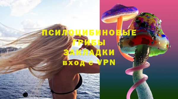apvp Каменногорск
