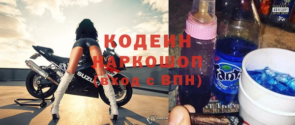 сатива Каменка
