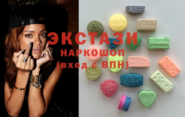 сатива Каменка