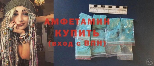 сатива Каменка