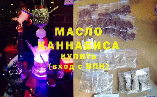 сатива Каменка