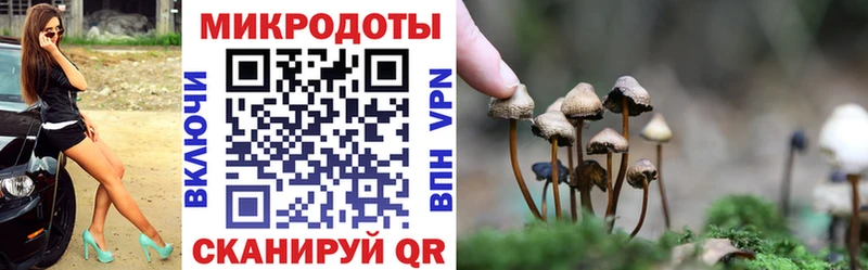 Купить где  Кандалакша  Галлюциногенные грибы MAGIC MUSHROOMS 